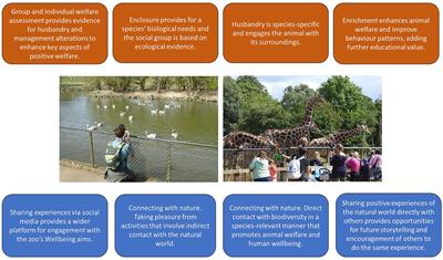 Expanding the role of the future zoo: Wellbeing should become the fifth aim for modern zoos